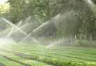 Devonportlandscaping-water-management-and-drainage-17.jpg; ?>